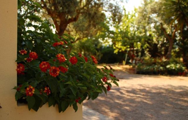 Rio Barca Bed And Breakfast Alghero Exterior foto