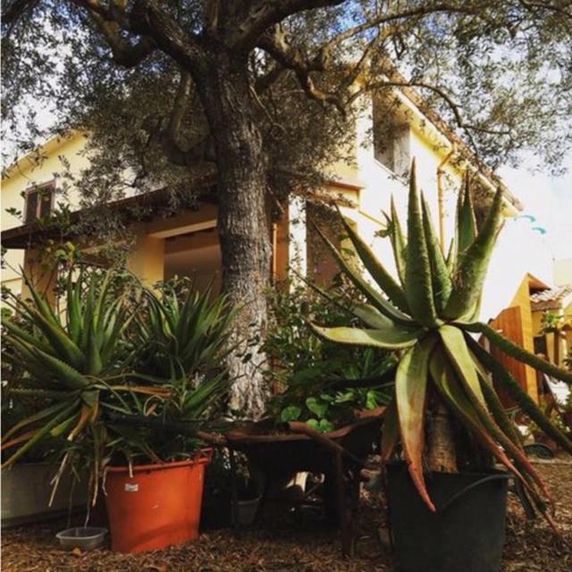 Rio Barca Bed And Breakfast Alghero Exterior foto